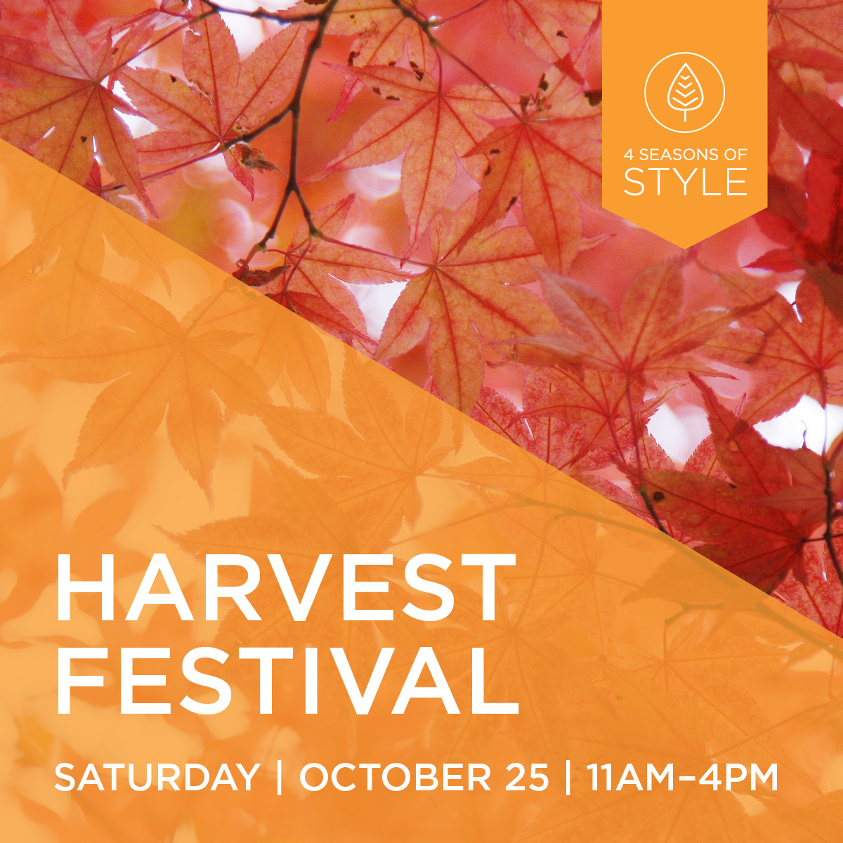 6th Annual Harvest Festival